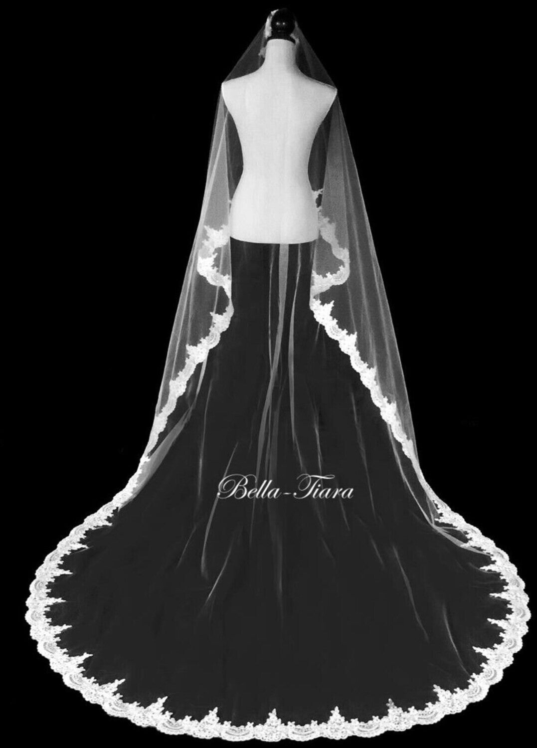 Novella - Stunning pearl Beaded French alencon lace veil