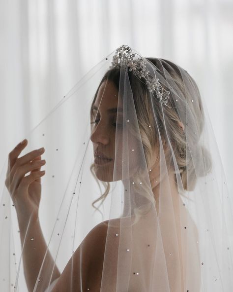 wedding veil with tiara