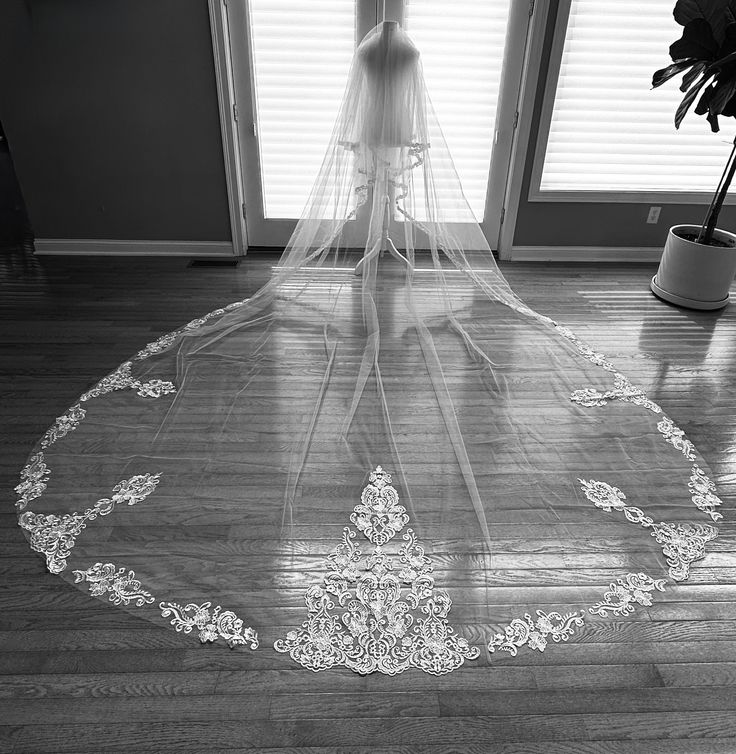 Best White Wedding Veil Styles for Modern, Traditional, and Vintage Brides