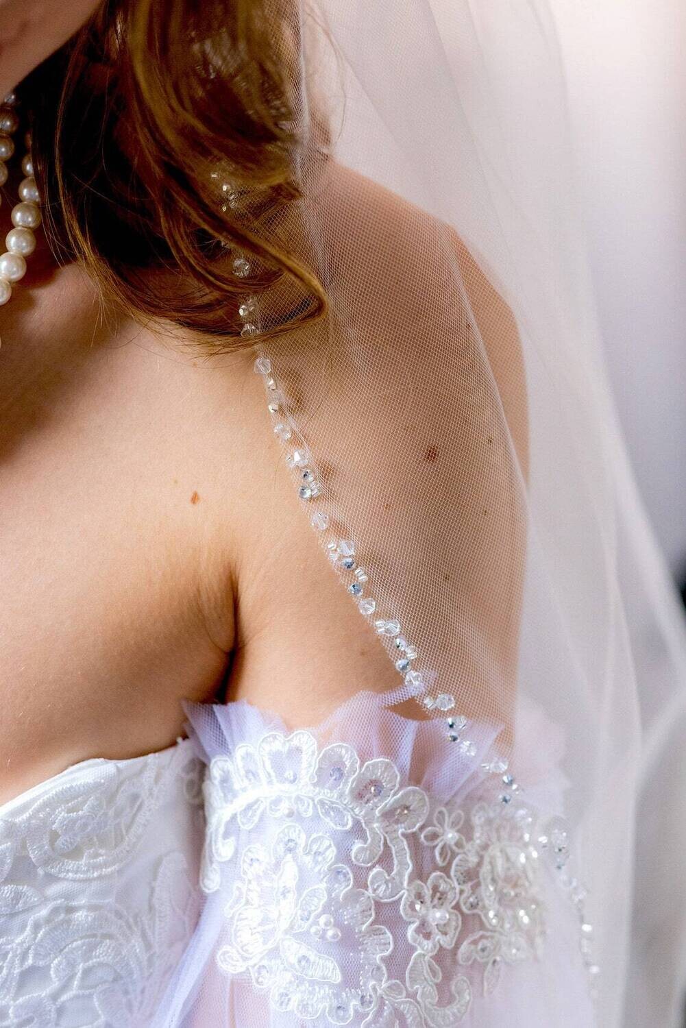 Lisa - Rhinestone and crystal cathedral edge bridal veil